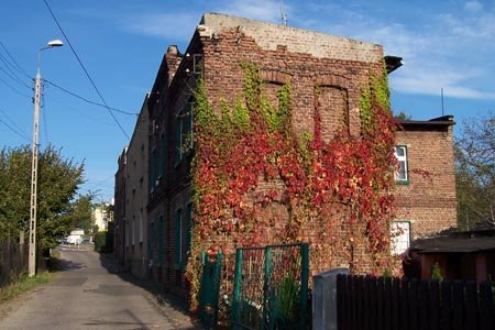 Mys�owice na zdj�ciach