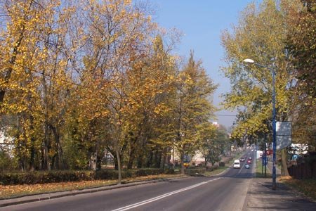 Mysowice na zdjciach