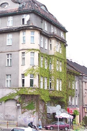 Mysowice na zdjciach