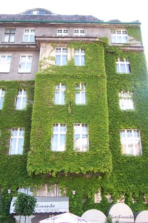Mysowice na zdjciach