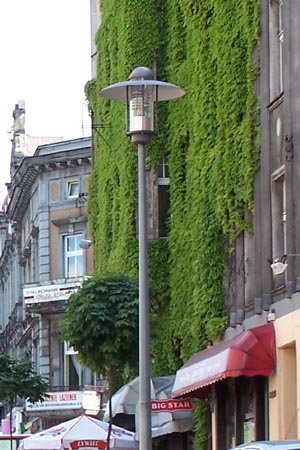 Mysowice na zdjciach