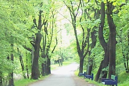 Mysowice na zdjciach