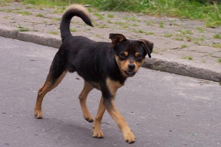 Mysowice na zdjciach